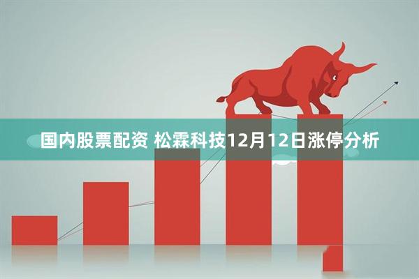 国内股票配资 松霖科技12月12日涨停分析