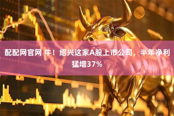 配配网官网 牛！绍兴这家A股上市公司，半年净利猛增37%