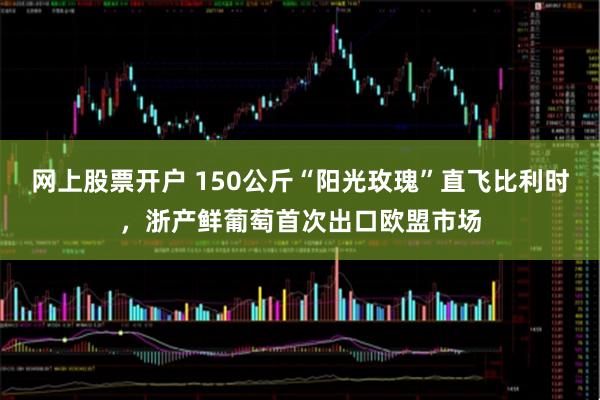网上股票开户 150公斤“阳光玫瑰”直飞比利时，浙产鲜葡萄首次出口欧盟市场